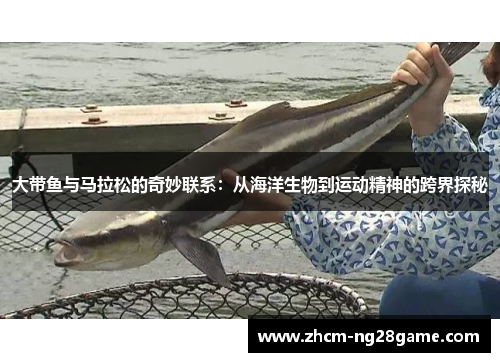 大带鱼与马拉松的奇妙联系:从海洋生物到运动精神的跨界探秘 大带鱼与马拉松的奇妙联系:从海洋生物到运动精神的跨界探秘