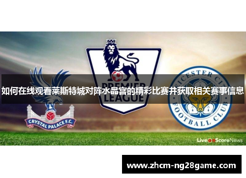 如何在线观看莱斯特城对阵水晶宫的精彩比赛并获取相关赛事信息