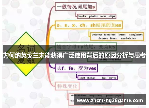 为何纳英戈兰未能获得广泛使用背后的原因分析与思考 为何纳英戈兰未能获得广泛使用背后的原因分析与思考