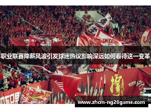 职业联赛降薪风波引发球迷热议影响深远如何看待这一变革