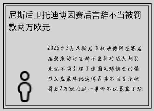 尼斯后卫托迪博因赛后言辞不当被罚款两万欧元